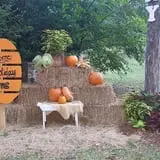 Holiday Farms - The Great Pumpkin Patch photo