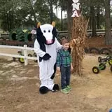 Holiday Farms - The Great Pumpkin Patch photo