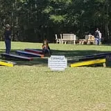 Holiday Farms - The Great Pumpkin Patch photo