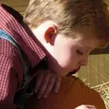 Holiday Farms - The Great Pumpkin Patch photo