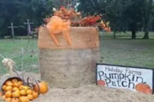 Holiday Farms - The Great Pumpkin Patch