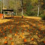 Haunted Trail at Camp Guyasuta photo