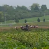 Garver Family Farm photo