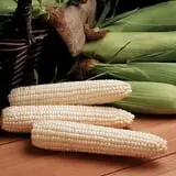 Garver Family Farm photo