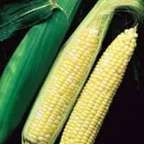 Garver Family Farm photo