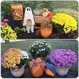 Garver Family Farm photo