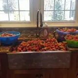 Garver Family Farm photo
