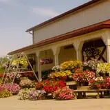 Garver Family Farm photo