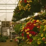 Garver Family Farm photo