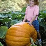 Garver Family Farm photo