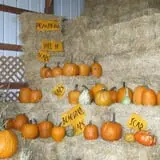 Pearson Family Farm photo