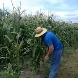 Pearson Family Farm photo
