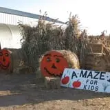 Pearson Family Farm photo
