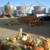 Pearson Family Farm photo