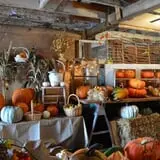 Pearson Family Farm photo