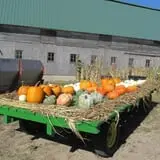 Pearson Family Farm photo