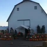 Pearson Family Farm photo