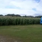 Pearson Family Farm photo