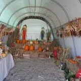 Pearson Family Farm photo