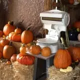 Pearson Family Farm photo
