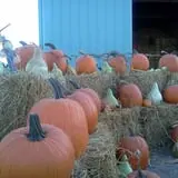 Pearson Family Farm photo