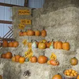 Pearson Family Farm photo