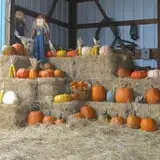 Pearson Family Farm photo