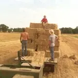 Pearson Family Farm photo
