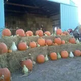 Pearson Family Farm photo