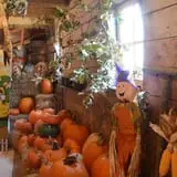 Pearson Family Farm photo