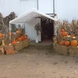 Pearson Family Farm photo