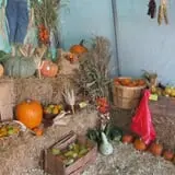Pearson Family Farm photo