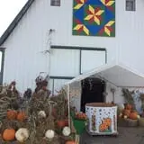 Pearson Family Farm photo