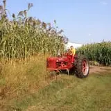 Pearson Family Farm photo
