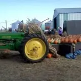 Pearson Family Farm photo