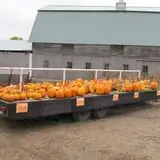 Pearson Family Farm photo