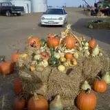 Pearson Family Farm photo