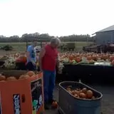 Pearson Family Farm photo