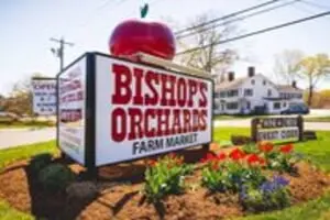 Bishop's Orchards Corn Maze & Hay Ride
