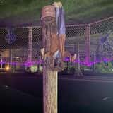 Not So Scary Haunted Tree House