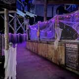 Not So Scary Haunted Tree House