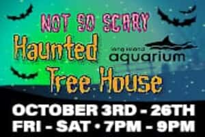 Not So Scary Haunted Tree House