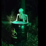J&J Field of Screams photo
