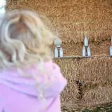 Country Mercantile Harvest Festival photo