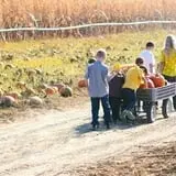 Country Mercantile Harvest Festival photo