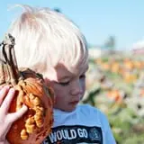 Country Mercantile Harvest Festival photo