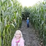 Country Mercantile Harvest Festival photo