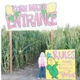 Country Mercantile Harvest Festival photo