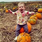 Country Mercantile Harvest Festival photo