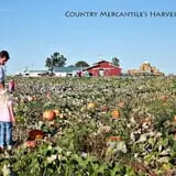 Country Mercantile Harvest Festival photo